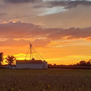 Meet your Posher, Lagina